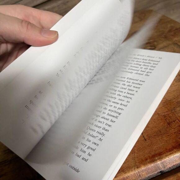 The Lion, the Witch and the Wardrobe by C.S. Lewis The Chronicles of Narnia Pape - Picture 7 of 9